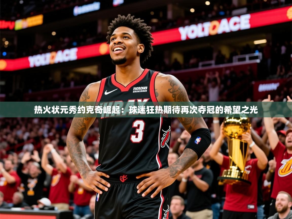 热火状元秀约克奇崛起:球迷狂热期待再次夺冠的希望之光  第1张