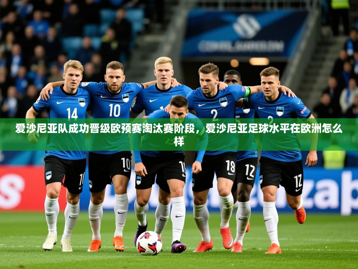 爱沙尼亚队成功晋级欧预赛淘汰赛阶段,爱沙尼亚足球水平在欧洲怎么样 第1张