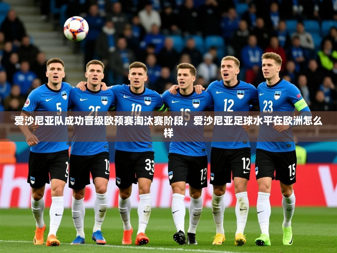 爱沙尼亚队成功晋级欧预赛淘汰赛阶段,爱沙尼亚足球水平在欧洲怎么样 第2张