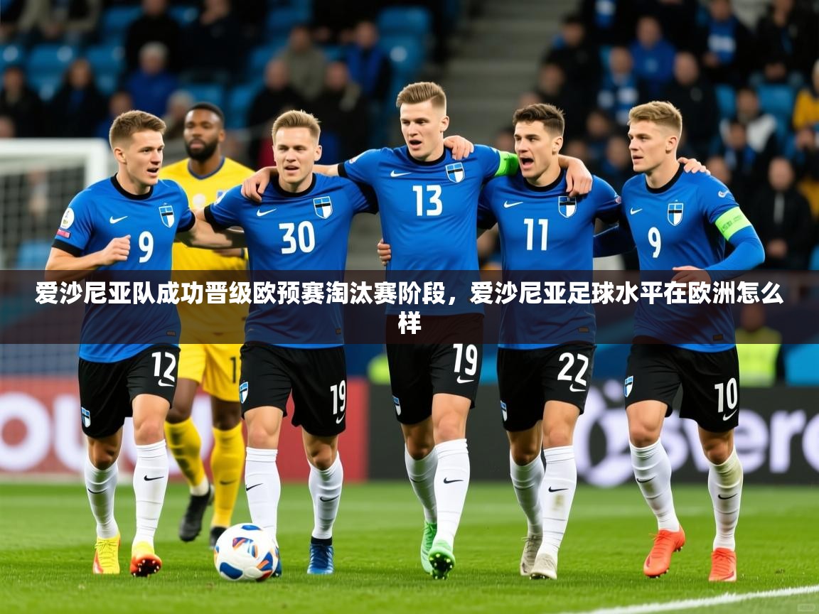 爱沙尼亚队成功晋级欧预赛淘汰赛阶段,爱沙尼亚足球水平在欧洲怎么样 第4张