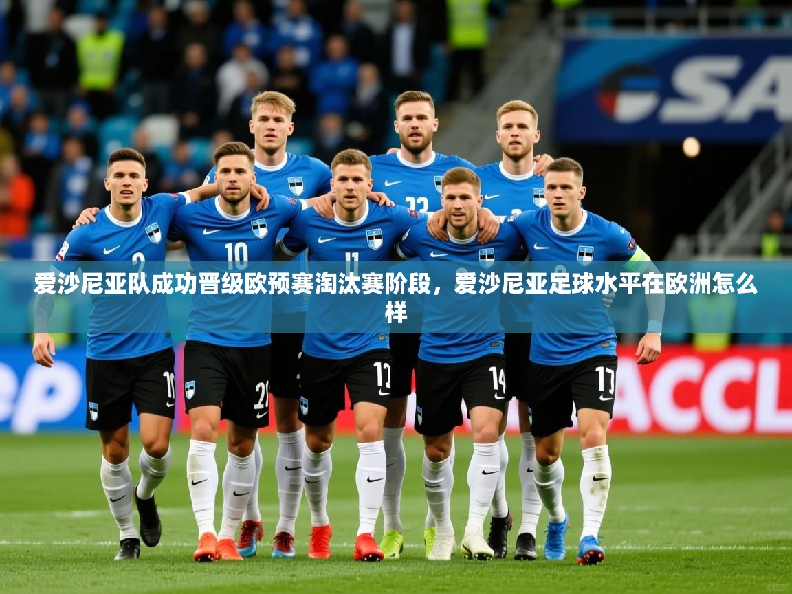 爱沙尼亚队成功晋级欧预赛淘汰赛阶段,爱沙尼亚足球水平在欧洲怎么样 第3张