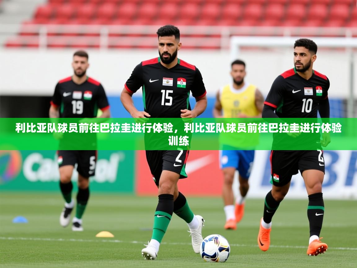 利比亚队球员前往巴拉圭进行体验,利比亚队球员前往巴拉圭进行体验训练 第2张