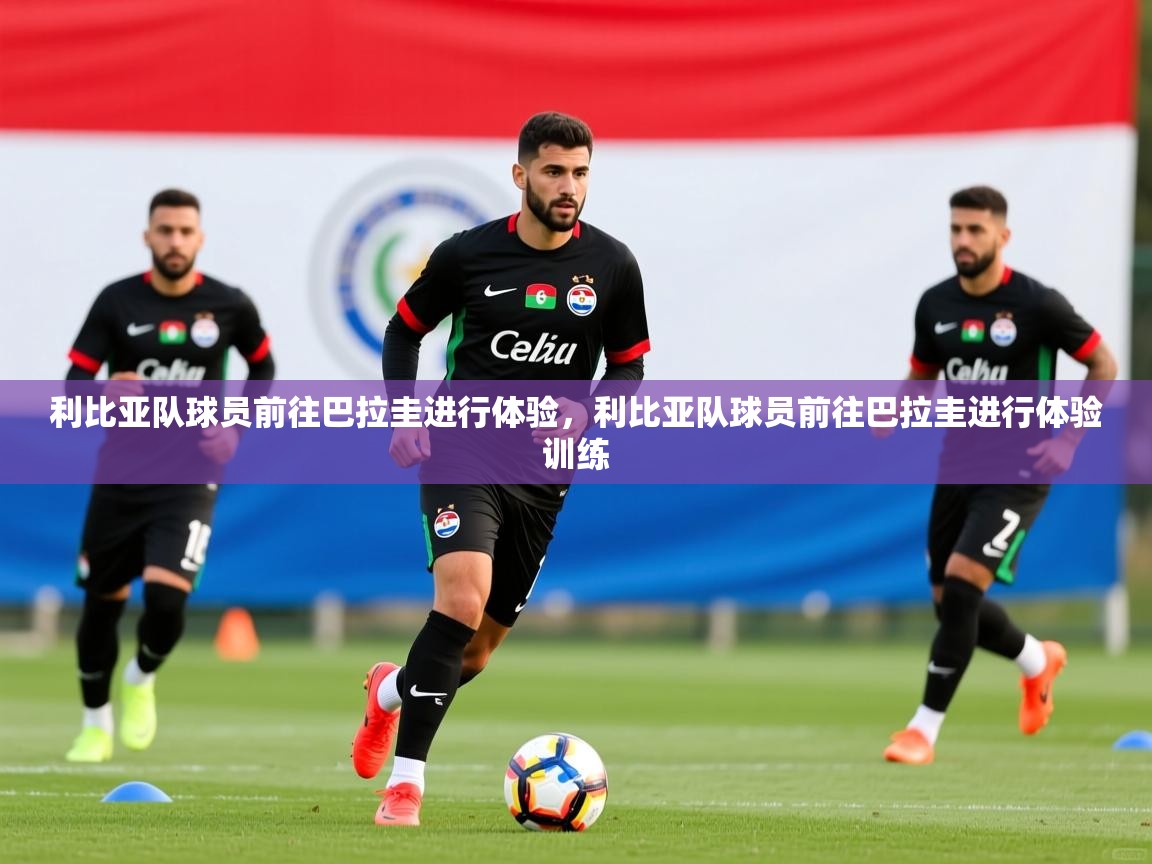 利比亚队球员前往巴拉圭进行体验,利比亚队球员前往巴拉圭进行体验训练 第1张