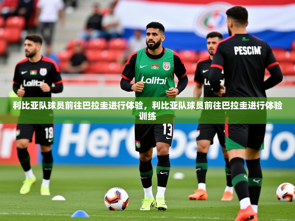 利比亚队球员前往巴拉圭进行体验,利比亚队球员前往巴拉圭进行体验训练 第3张
