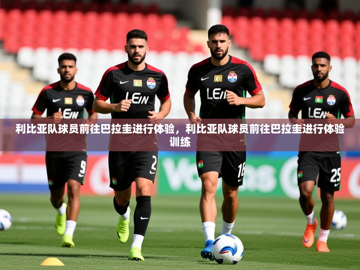 利比亚队球员前往巴拉圭进行体验,利比亚队球员前往巴拉圭进行体验训练 第4张