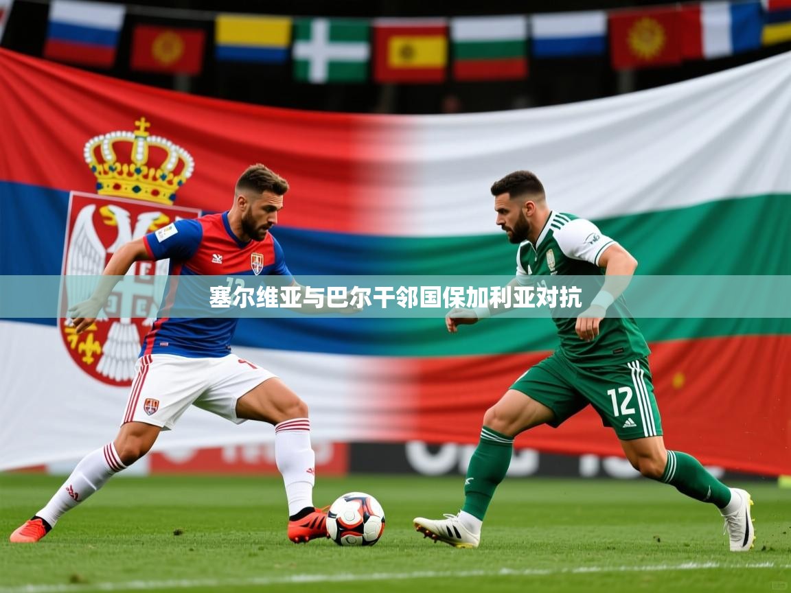 塞尔维亚与巴尔干邻国保加利亚对抗  第1张