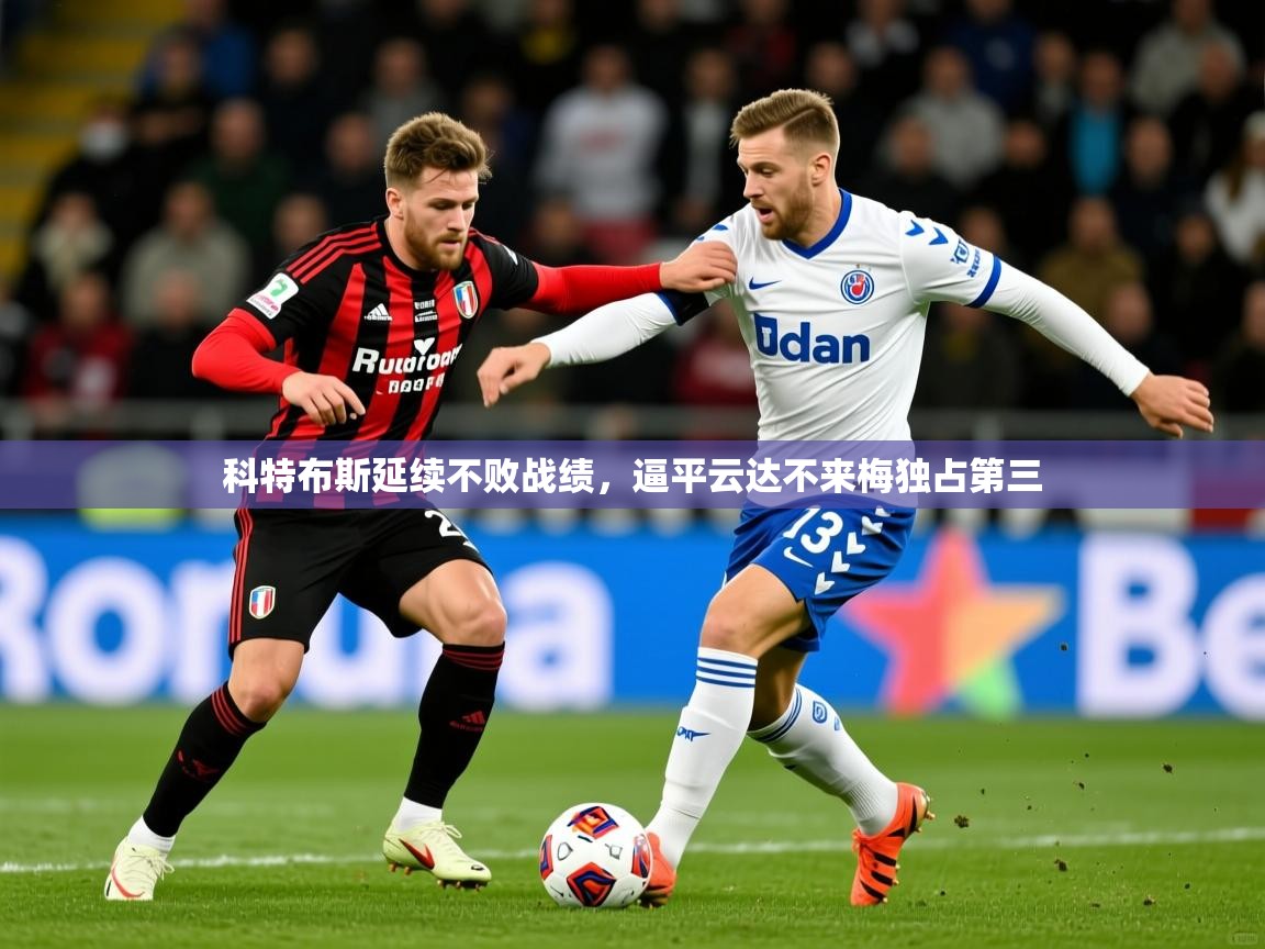科特布斯延续不败战绩，逼平云达不来梅独占第三  第2张