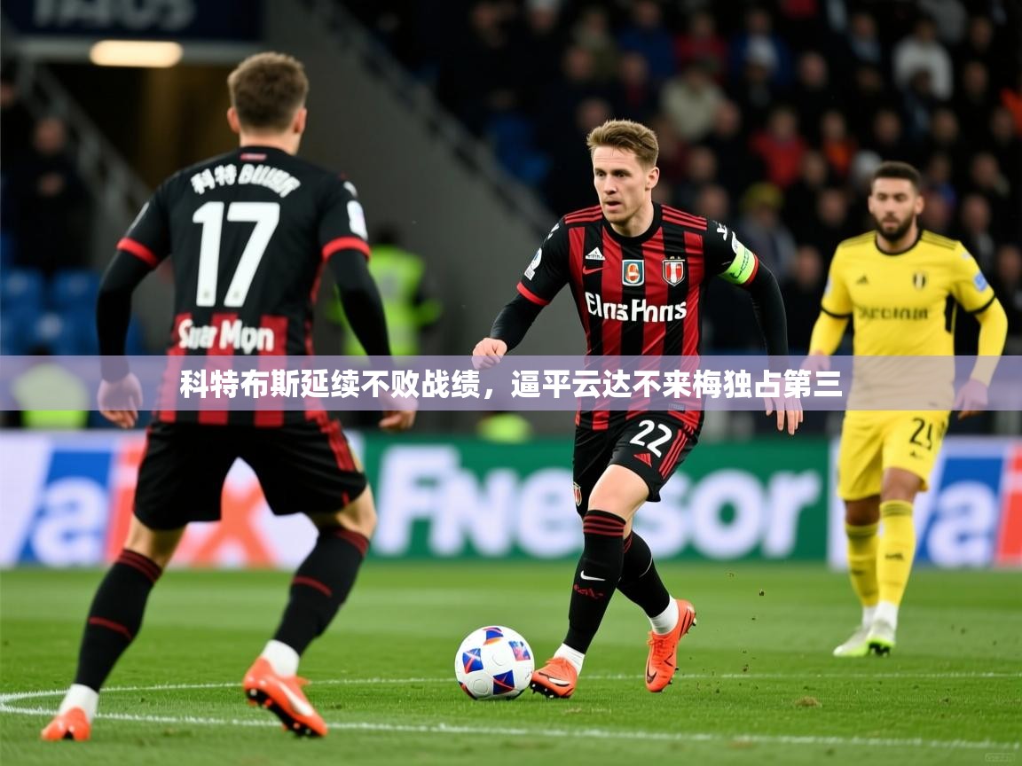 科特布斯延续不败战绩，逼平云达不来梅独占第三  第4张