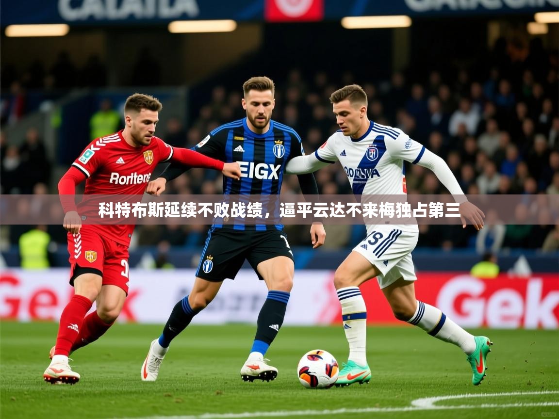科特布斯延续不败战绩，逼平云达不来梅独占第三  第3张